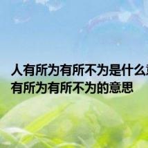 人有所为有所不为是什么意思 人有所为有所不为的意思