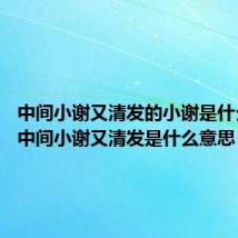 中间小谢又清发的小谢是什么意思 中间小谢又清发是什么意思