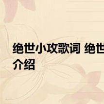绝世小攻歌词 绝世小攻介绍