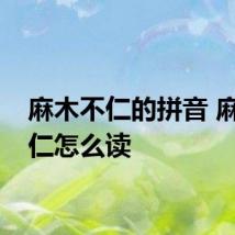 麻木不仁的拼音 麻木不仁怎么读