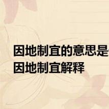 因地制宜的意思是什么 因地制宜解释