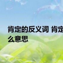 肯定的反义词 肯定是什么意思