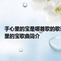 手心里的宝是哪首歌的歌词 手心里的宝歌曲简介