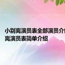小别离演员表全部演员介绍 小别离演员表简单介绍