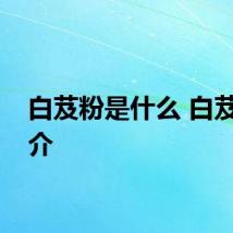 白芨粉是什么 白芨粉简介