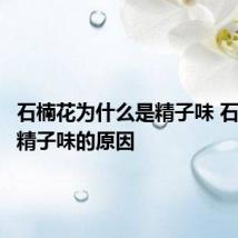 石楠花为什么是精子味 石楠花是精子味的原因