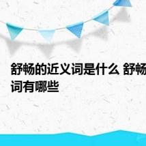 舒畅的近义词是什么 舒畅的近义词有哪些