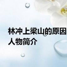 林冲上梁山的原因 林冲人物简介