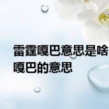 雷霆嘎巴意思是啥 雷霆嘎巴的意思