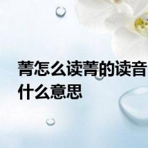 菁怎么读菁的读音 菁是什么意思