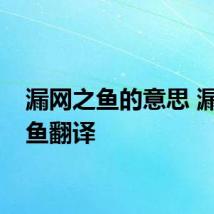 漏网之鱼的意思 漏网之鱼翻译