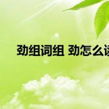 劲组词组 劲怎么读