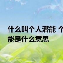 什么叫个人潜能 个人潜能是什么意思