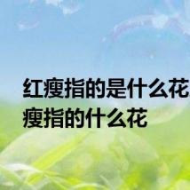 红瘦指的是什么花儿 红瘦指的什么花