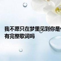 我不愿只在梦里见到你是什么歌 有完整歌词吗