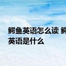 鳄鱼英语怎么读 鳄鱼的英语是什么