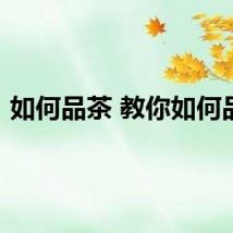 如何品茶 教你如何品茶