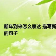 新年到来怎么表达 描写新年到来的句子