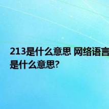 213是什么意思 网络语言的213是什么意思?