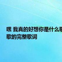 嘿 我真的好想你是什么歌 这首歌的完整歌词