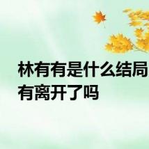 林有有是什么结局 林有有离开了吗