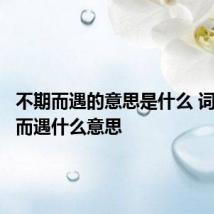 不期而遇的意思是什么 词语不期而遇什么意思