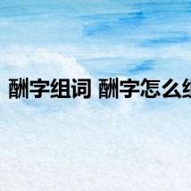 酬字组词 酬字怎么组词