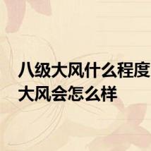 八级大风什么程度 八级大风会怎么样