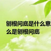 刨根问底是什么意思 什么是刨根问底
