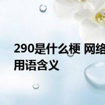 290是什么梗 网络数字用语含义