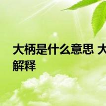 大柄是什么意思 大柄的解释