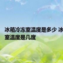 冰箱冷冻室温度是多少 冰箱冷冻室温度是几度