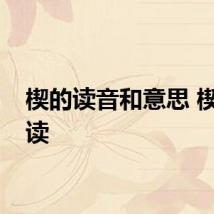 楔的读音和意思 楔怎么读