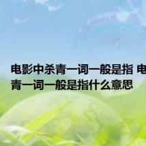 电影中杀青一词一般是指 电影中杀青一词一般是指什么意思