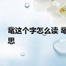 鼋这个字怎么读 鼋的意思