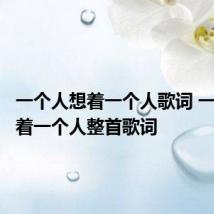 一个人想着一个人歌词 一个人想着一个人整首歌词