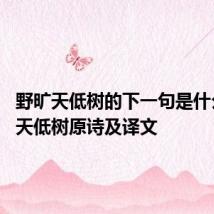 野旷天低树的下一句是什么 野旷天低树原诗及译文