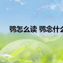 鸮怎么读 鸮念什么