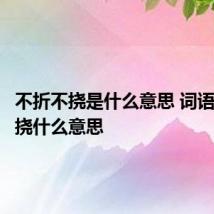 不折不挠是什么意思 词语不折不挠什么意思