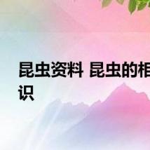 昆虫资料 昆虫的相关知识