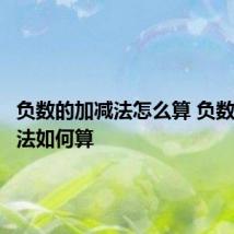负数的加减法怎么算 负数的加减法如何算