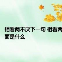 相看两不厌下一句 相看两不厌后面是什么