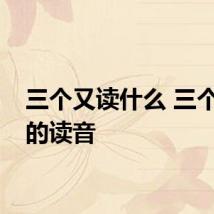 三个又读什么 三个又字的读音