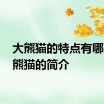 大熊猫的特点有哪些 大熊猫的简介
