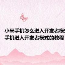 小米手机怎么进入开发者模式 小米手机进入开发者模式的教程