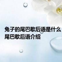 兔子的尾巴歇后语是什么 兔子的尾巴歇后语介绍