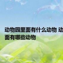 动物园里面有什么动物 动物园里面有哪些动物