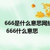 666是什么意思网络用语 666什么意思