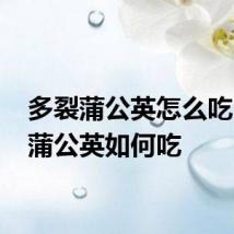 多裂蒲公英怎么吃 多裂蒲公英如何吃