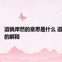 道貌岸然的意思是什么 道貌岸然的解释
